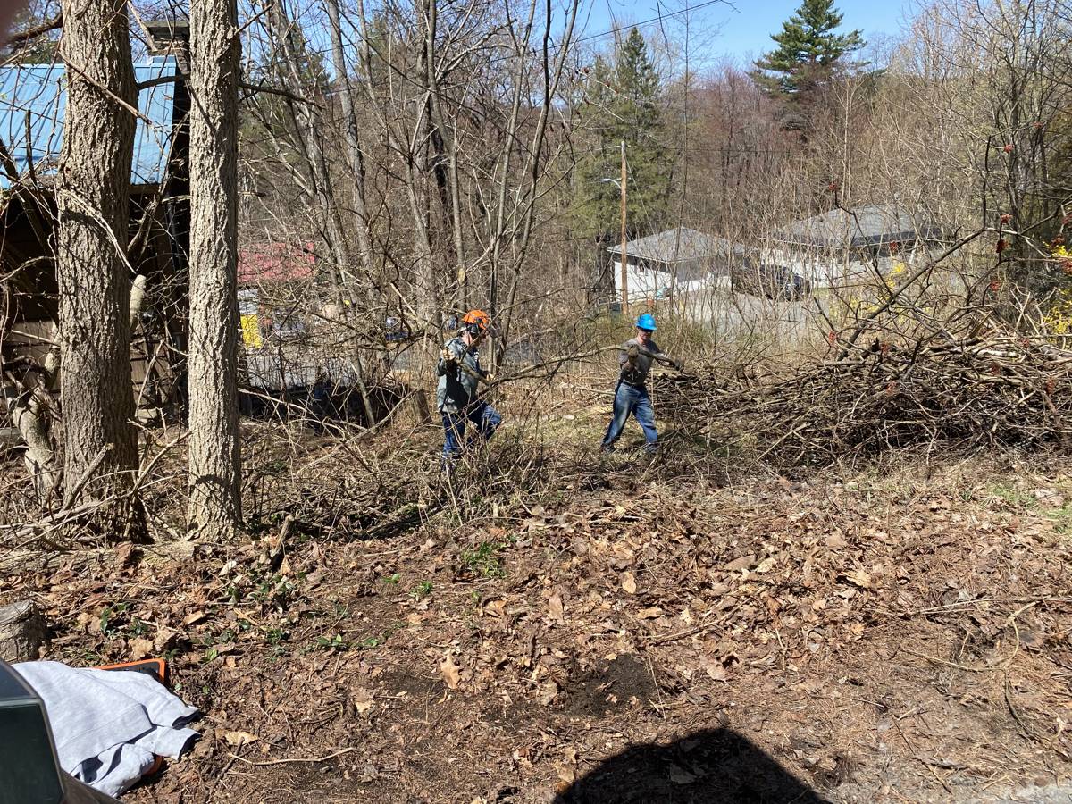 Volunteers clearing brush and small trees at a build site